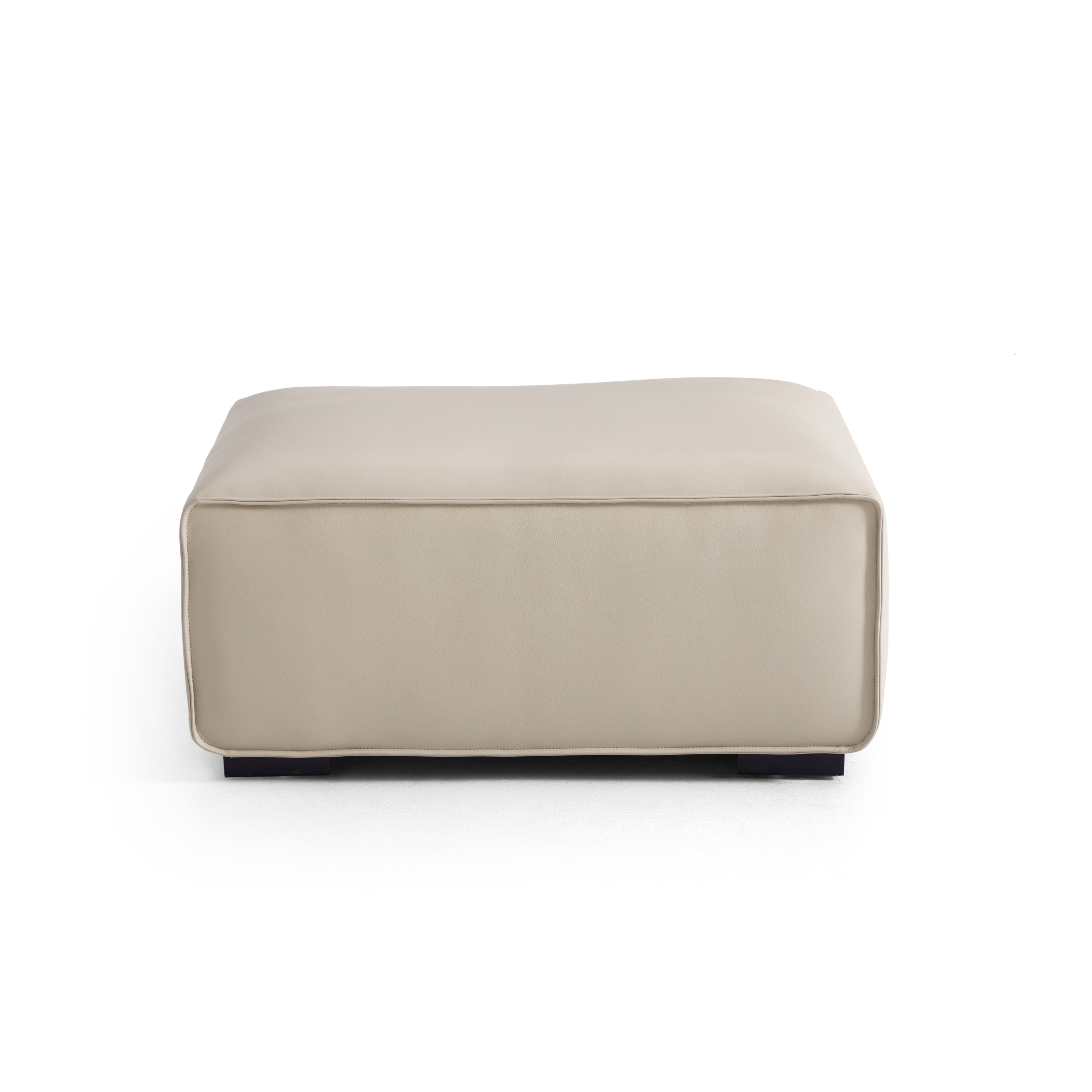 Domus Modular Beige Leather Sofa and Ottoman