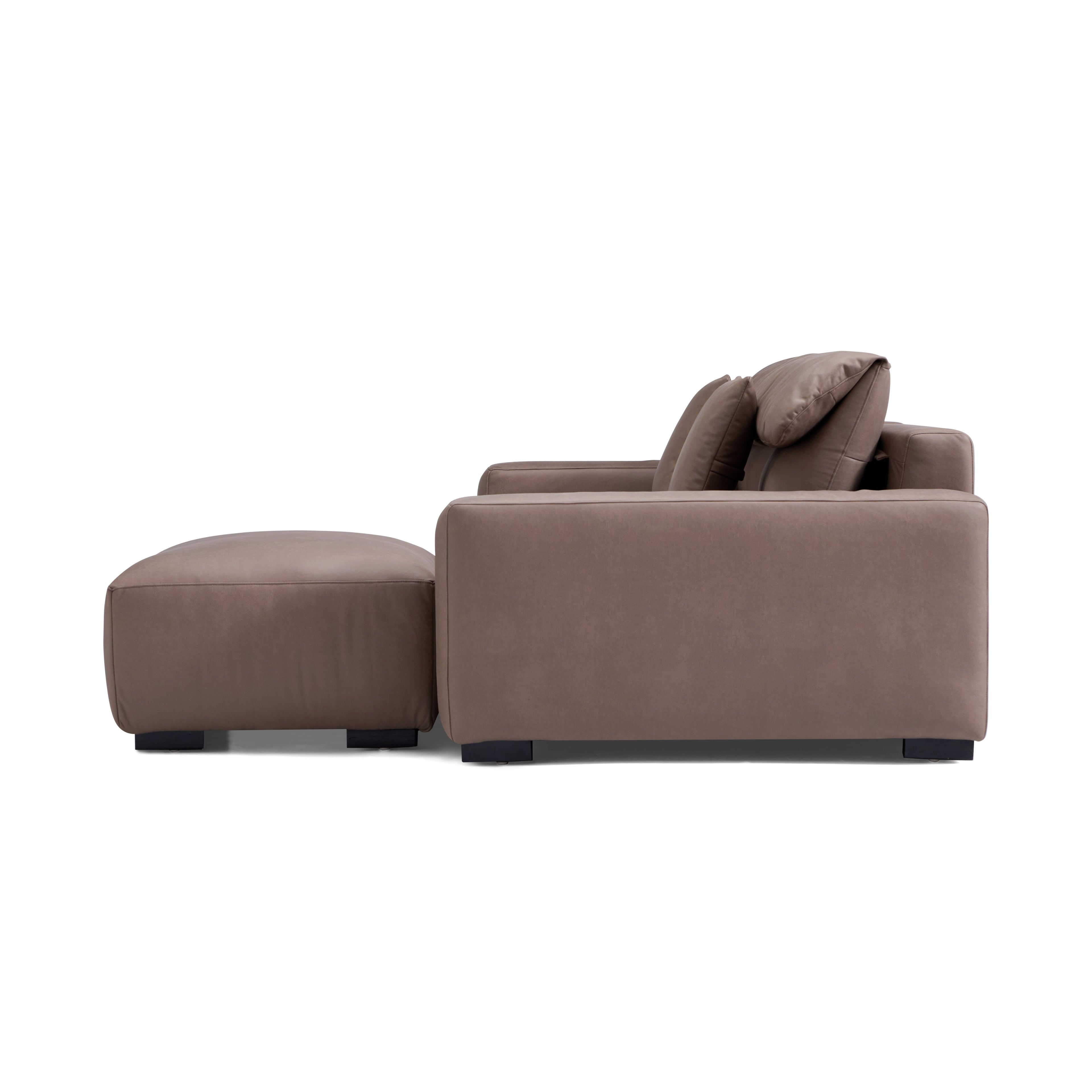 Chestnut Sofa and Ottoman