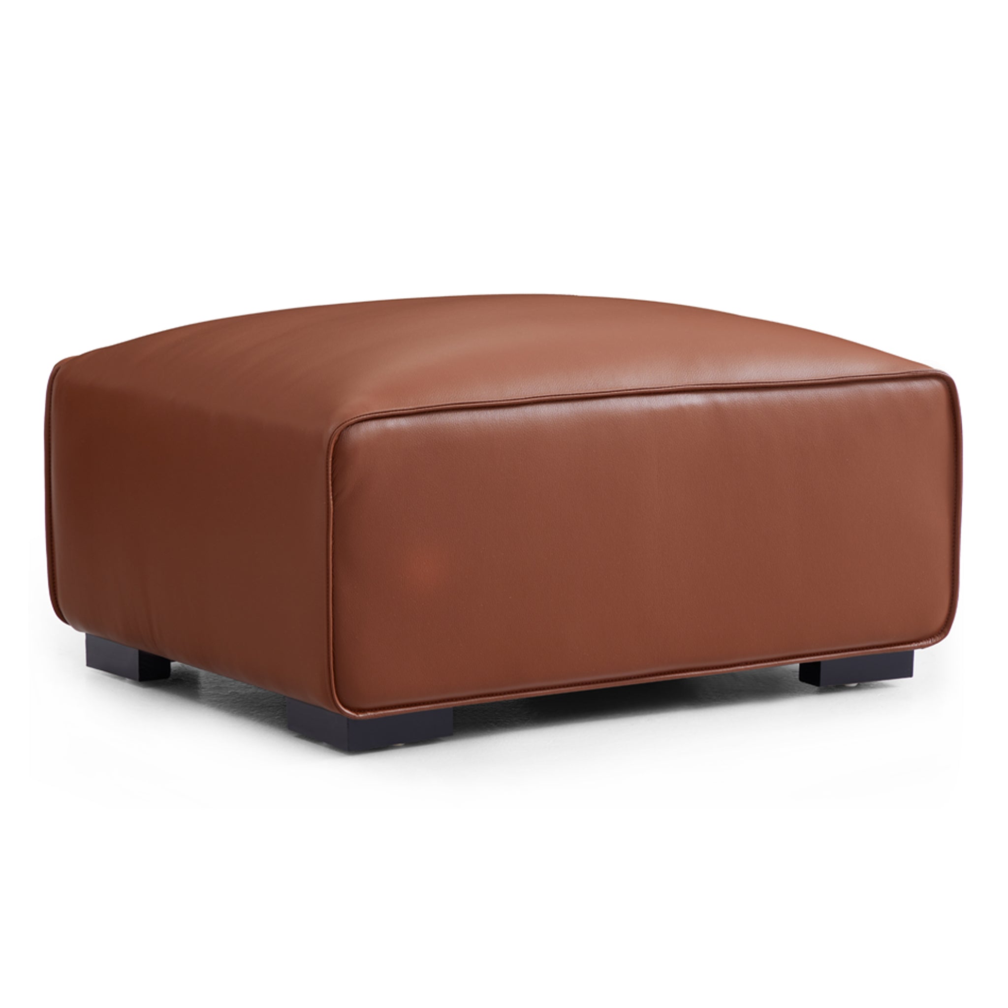 Domus Modular Beige Leather Sofa Set