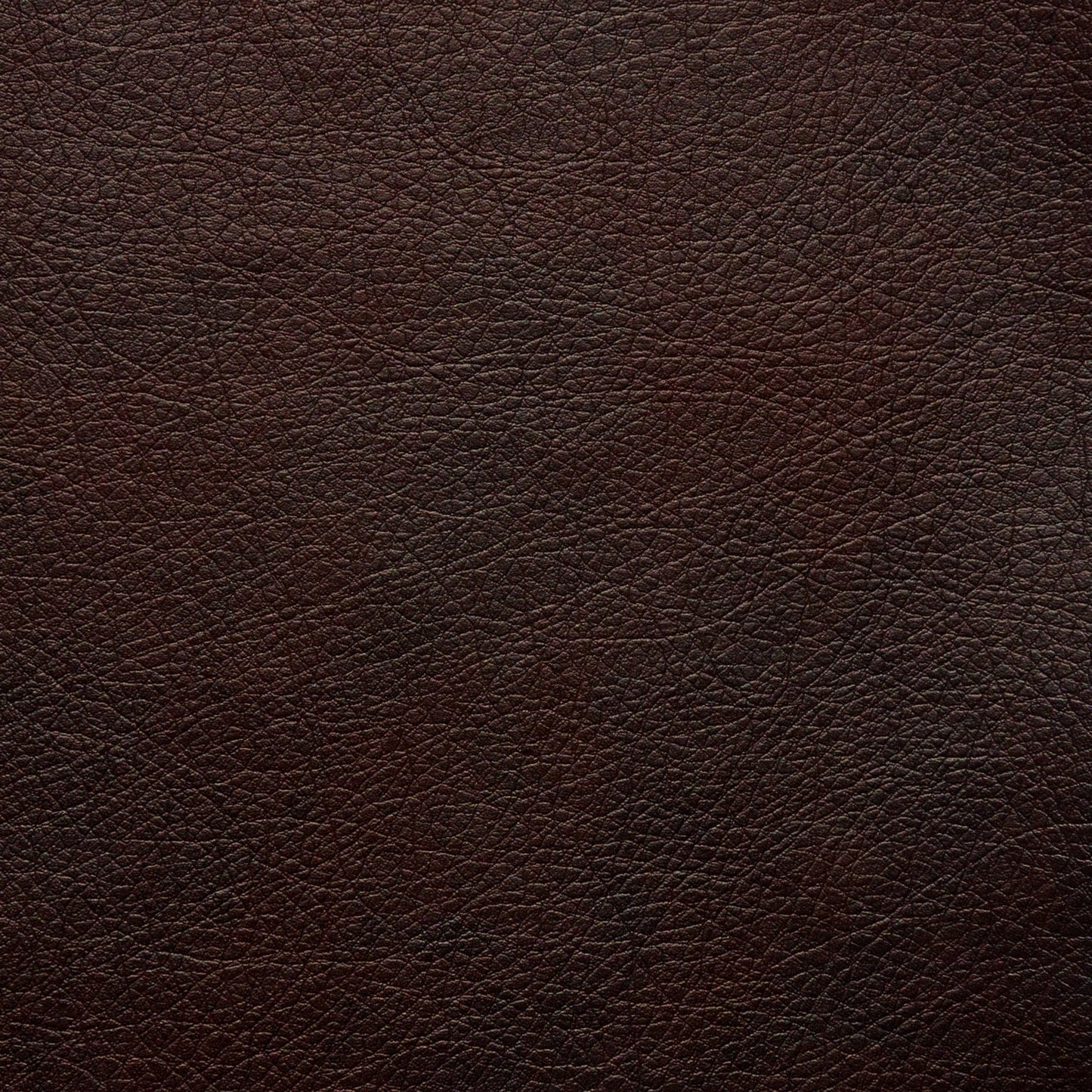 Canapé Serta Palisades 73 à accoudoirs droits, polyester facile d'entretien, dossier moelleux et coussins d'assise à ressorts ensachés
