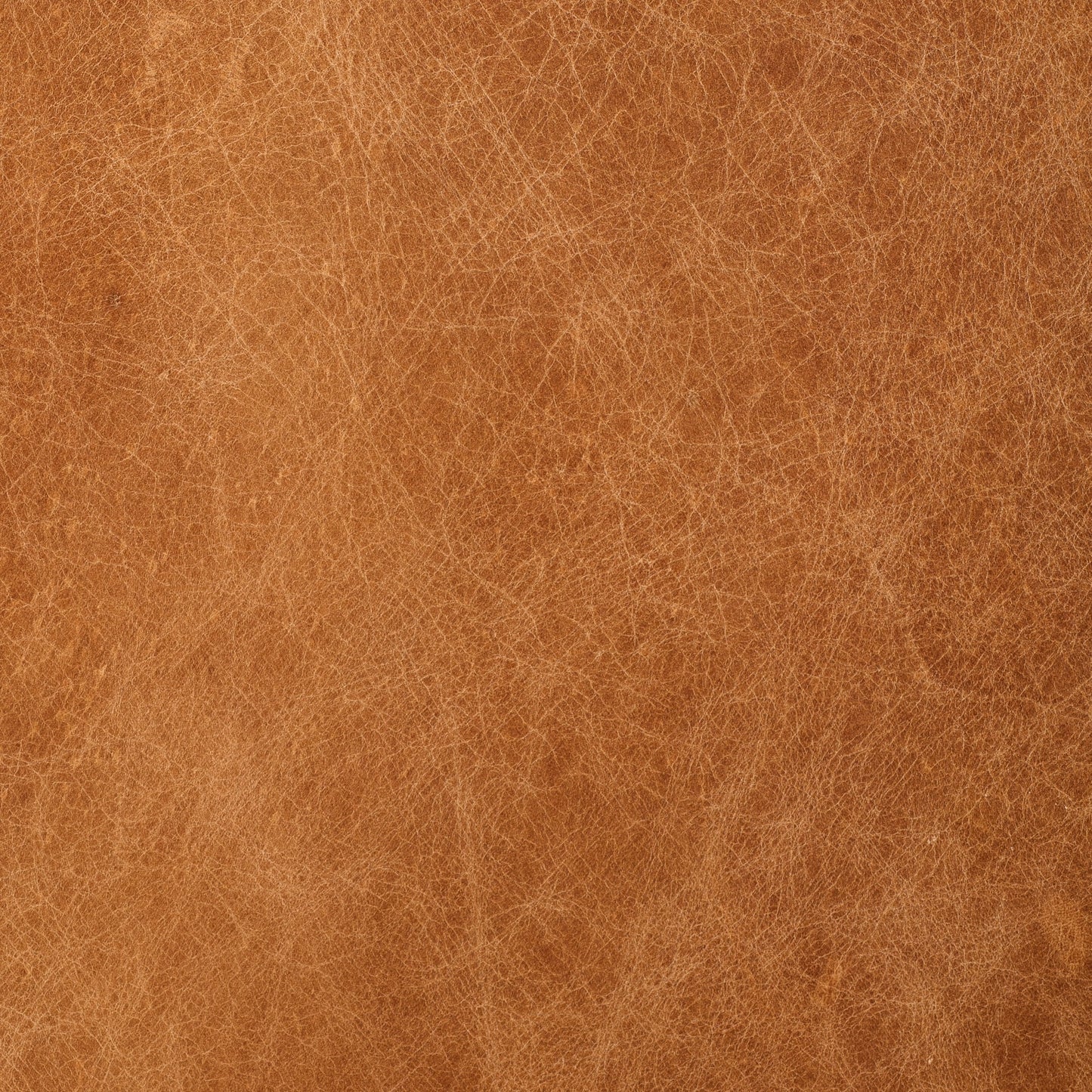Canapé Napa 88,5 en Poly & Bark - Cuir italien véritable