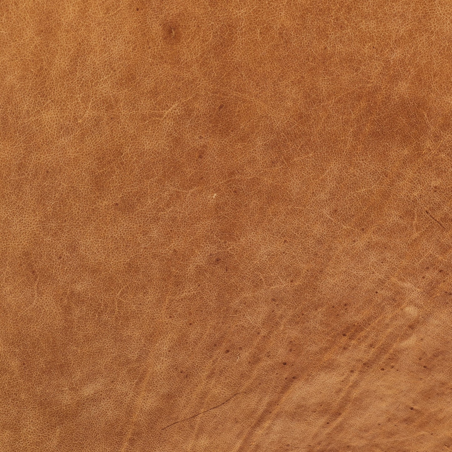 Canapé Napa 88,5 en Poly & Bark - Cuir italien véritable