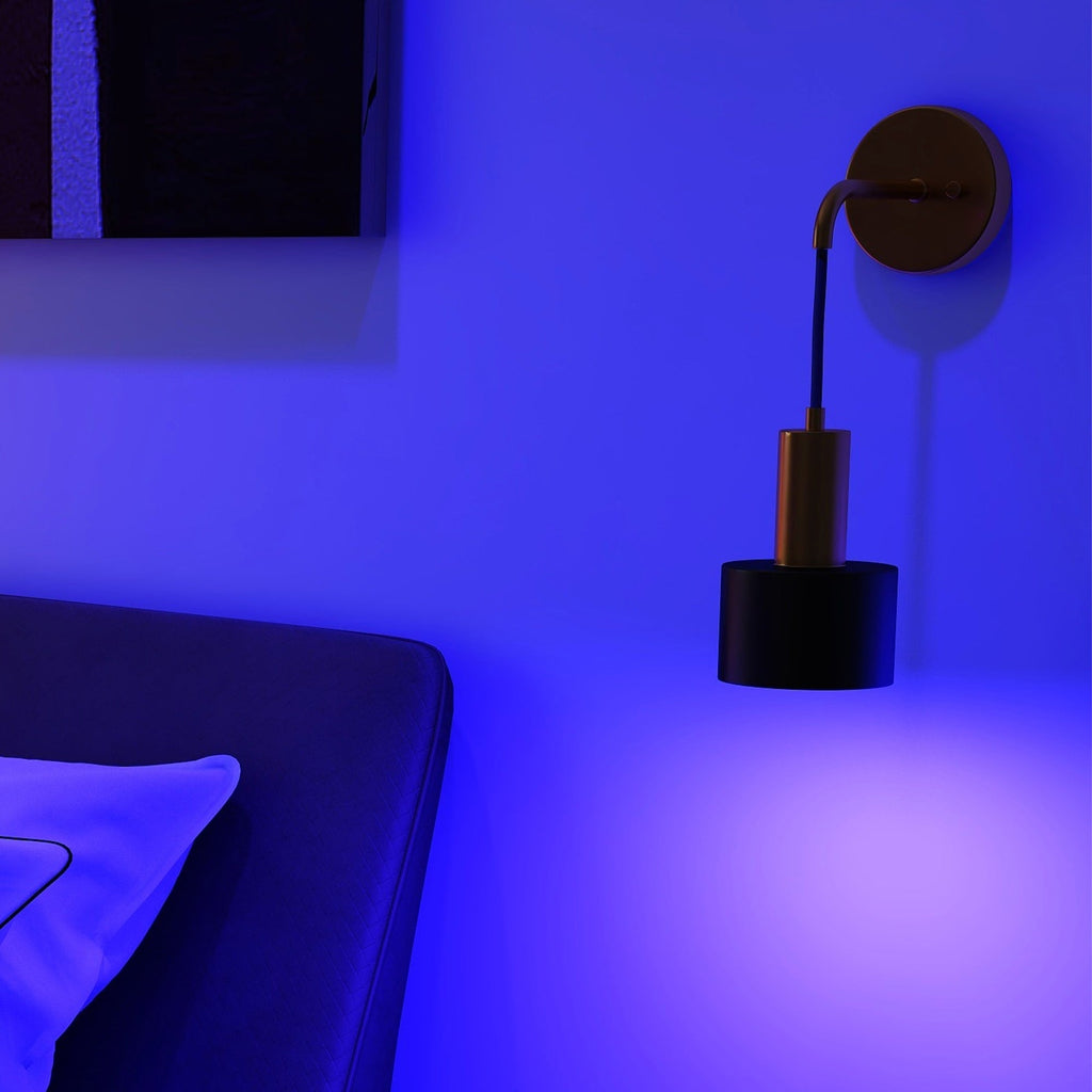 Lot de 2 appliques murales sans fil 13 LED RVB à piles avec télécommande