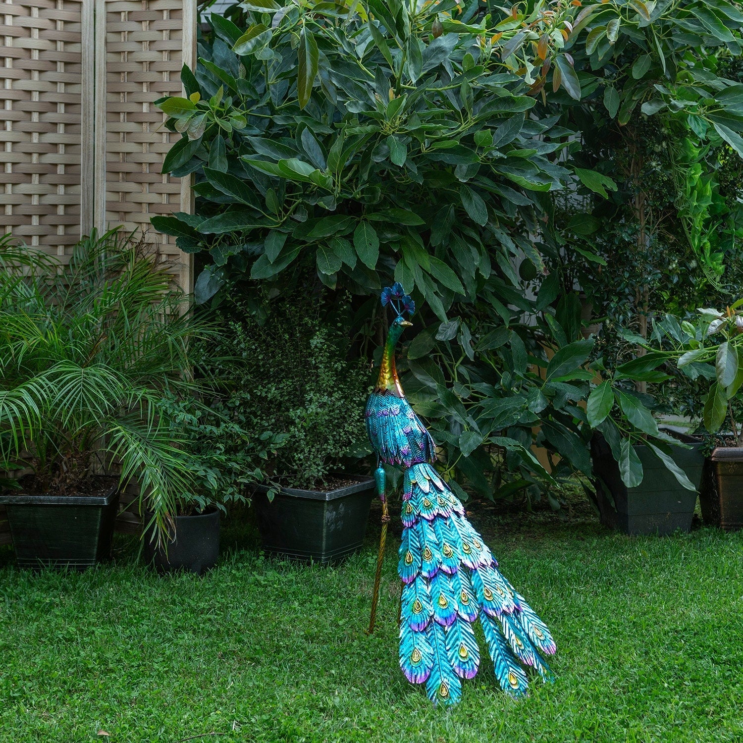 Statue de paon métallique d'extérieur de grande taille, multicolore, pour décoration de jardin