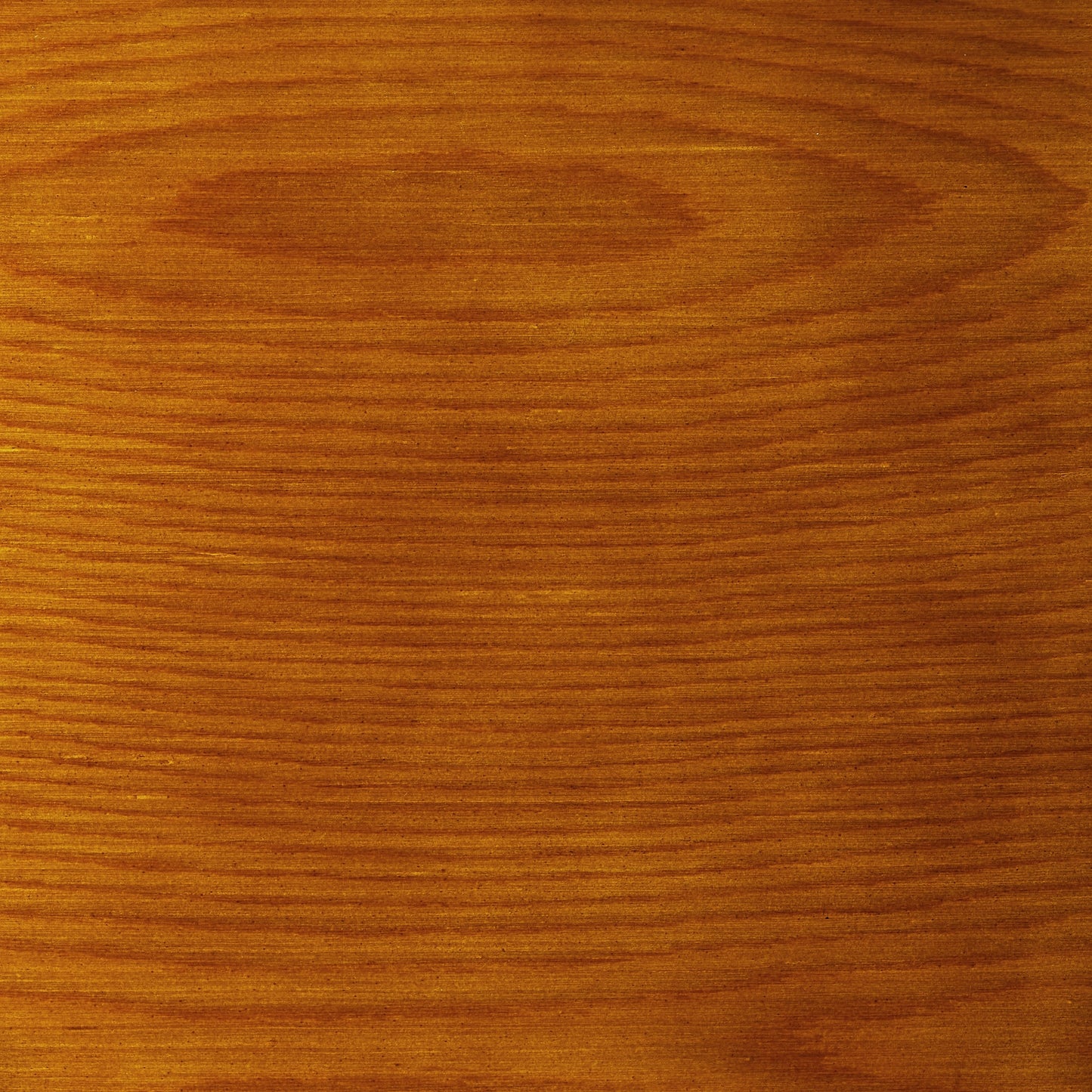 Fauteuil inclinable en cuir véritable Art Leon, style moderne du milieu du siècle
