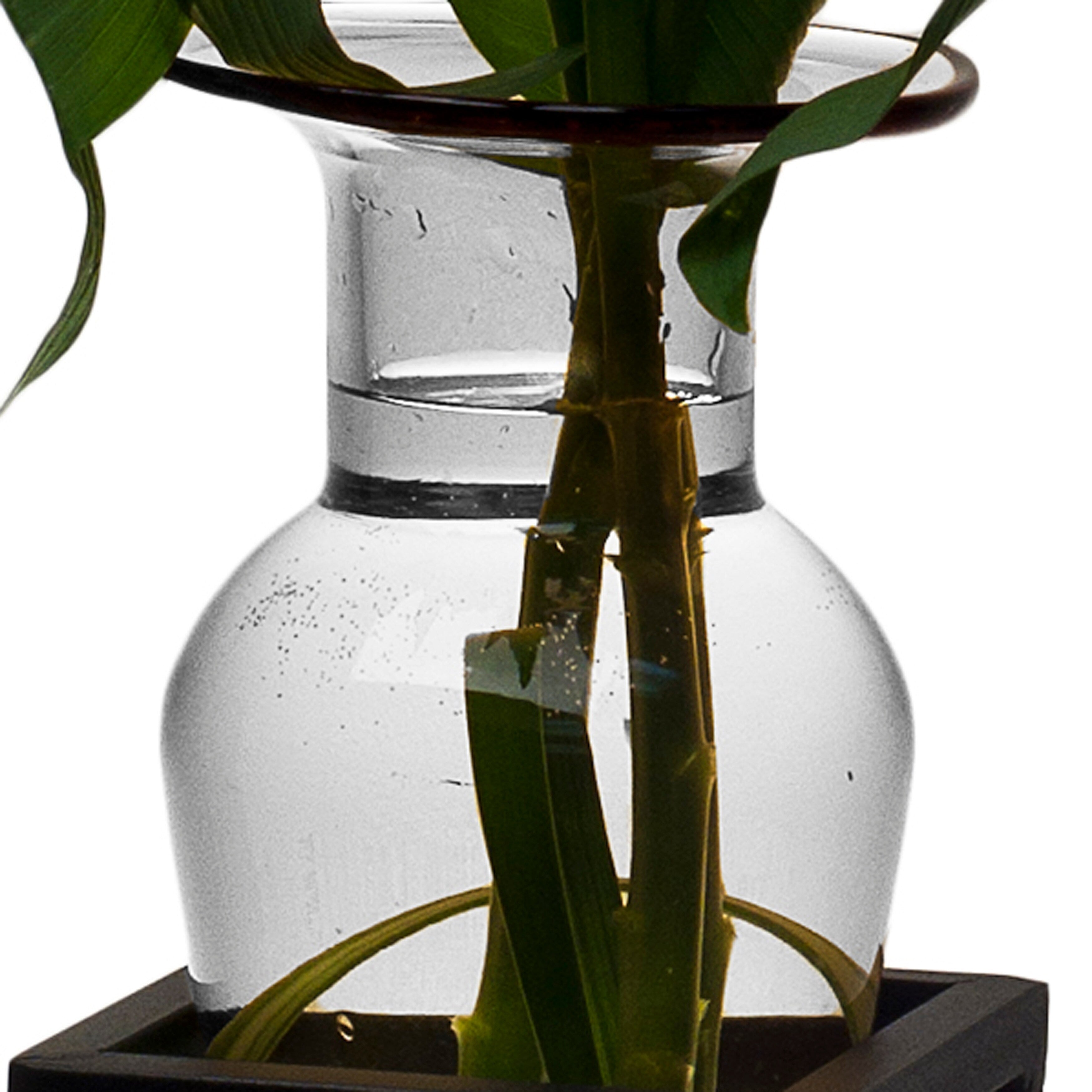 Vase amphore transparent sur support métallique