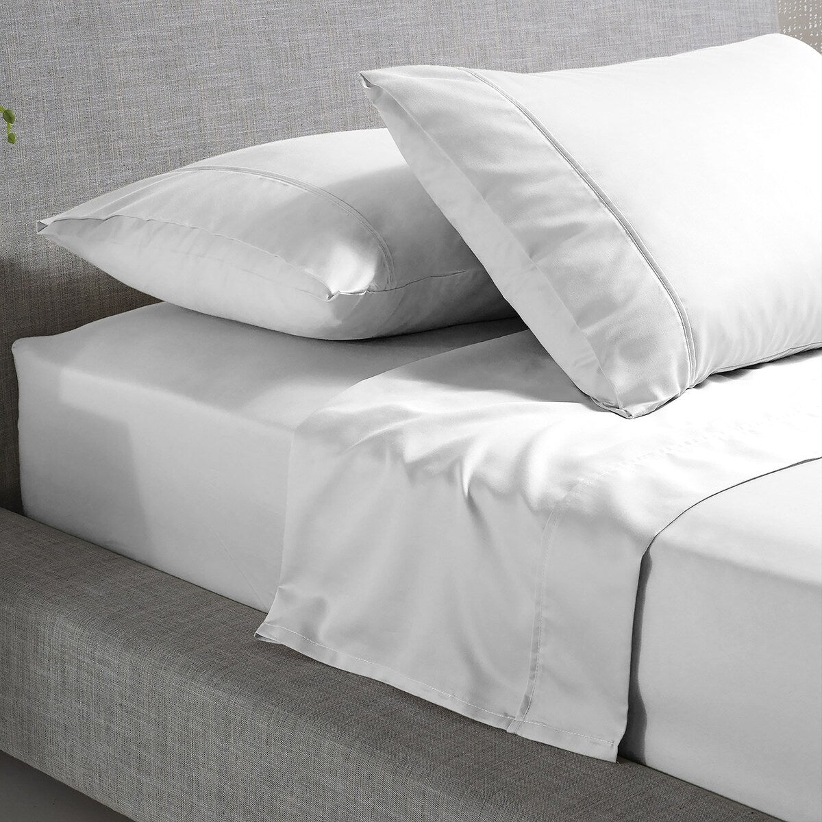 Parure de draps infroissables en mélange de coton de luxe Color Sense 800 fils