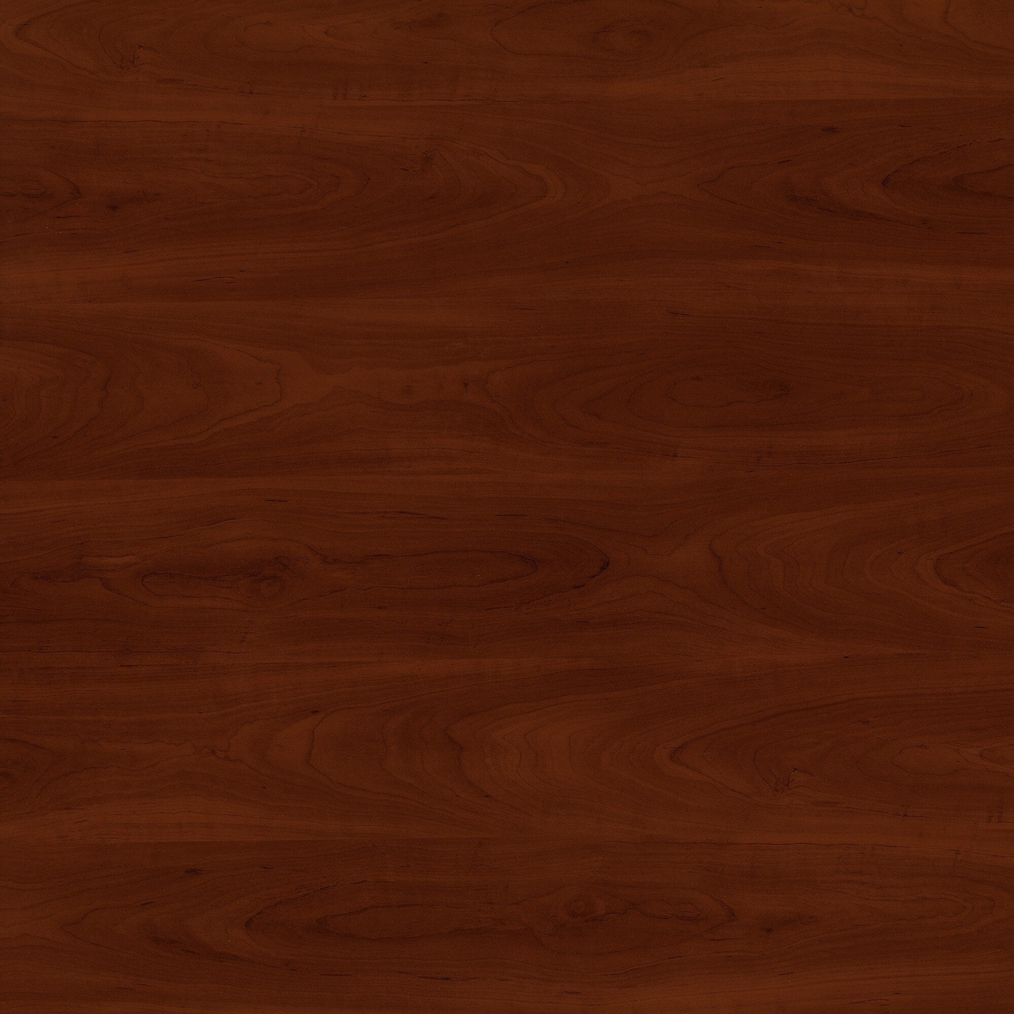 Armoire de rangement Fairview avec portes et étagères par Bush Furniture - 31,73 L x 12,76 l x 30,71 H