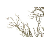 Arbre mort à 96 brindilles