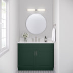 Luminaire de salle de bain à LED Truman de Millennium Lighting, disponible en plusieurs finitions