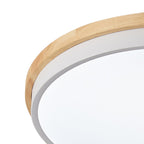 Plafonnier encastré à LED circulaire moderne et concis à 1 ampoule