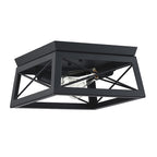 Plafonnier Mousse 12 po L. à 2 lumières avec finition noir mat et accents en bois de grange