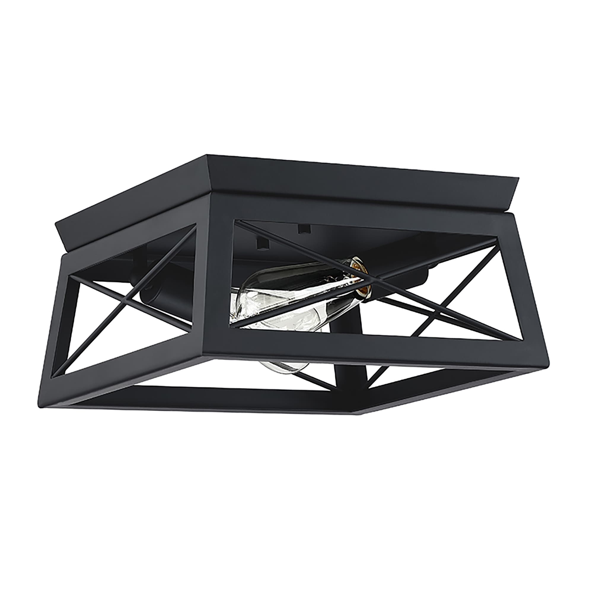 Plafonnier Mousse 12 po L. à 2 lumières avec finition noir mat et accents en bois de grange