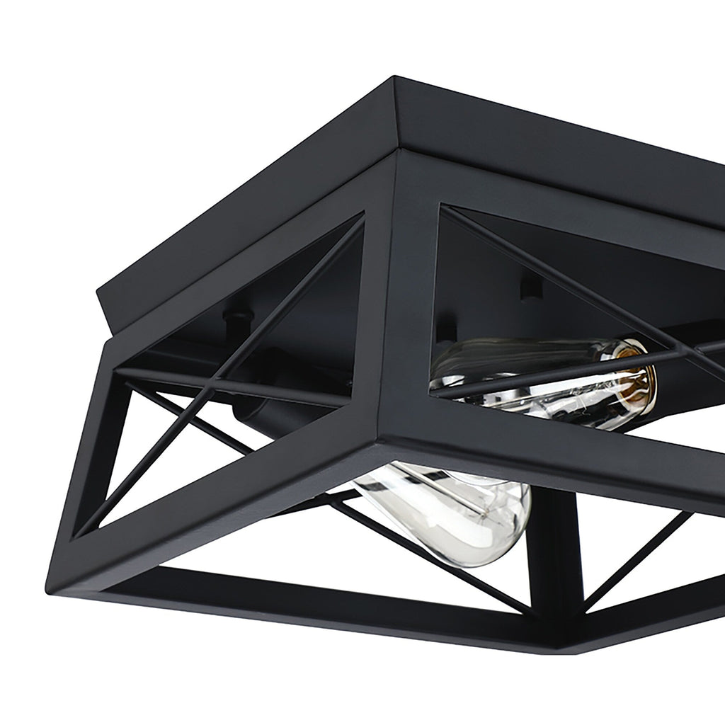 Plafonnier Mousse 12 po L. à 2 lumières avec finition noir mat et accents en bois de grange