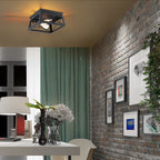 Plafonnier Mousse 12 po L. à 2 lumières avec finition noir mat et accents en bois de grange