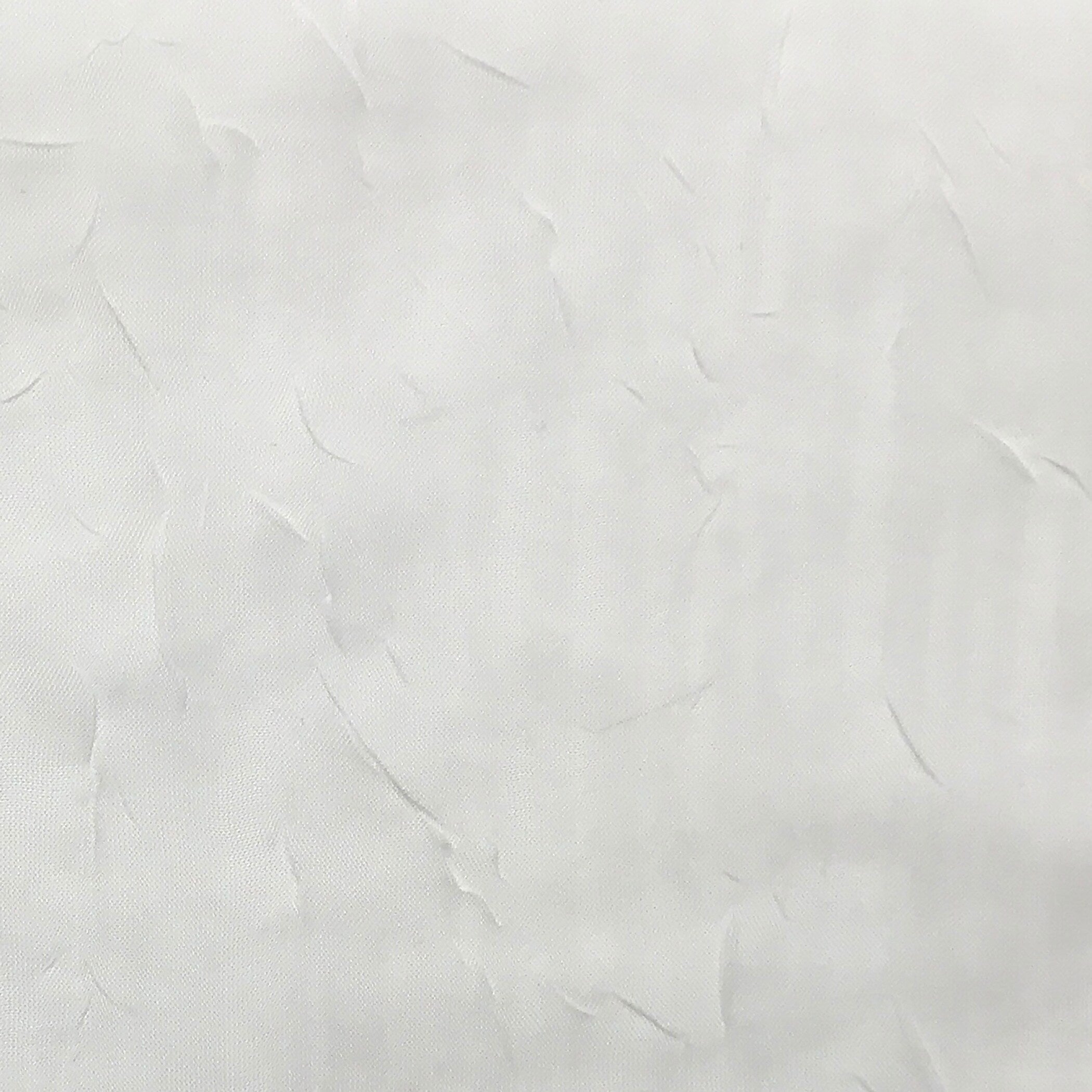 N° 918 Erica Panneau de rideau 1 pièce en voile écrasé transparent avec passe-tringle, panneau simple