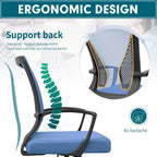 Chaise de bureau ergonomique Homall en maille avec support lombaire