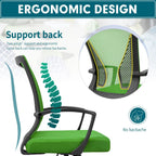 Chaise de bureau ergonomique Homall en maille avec support lombaire
