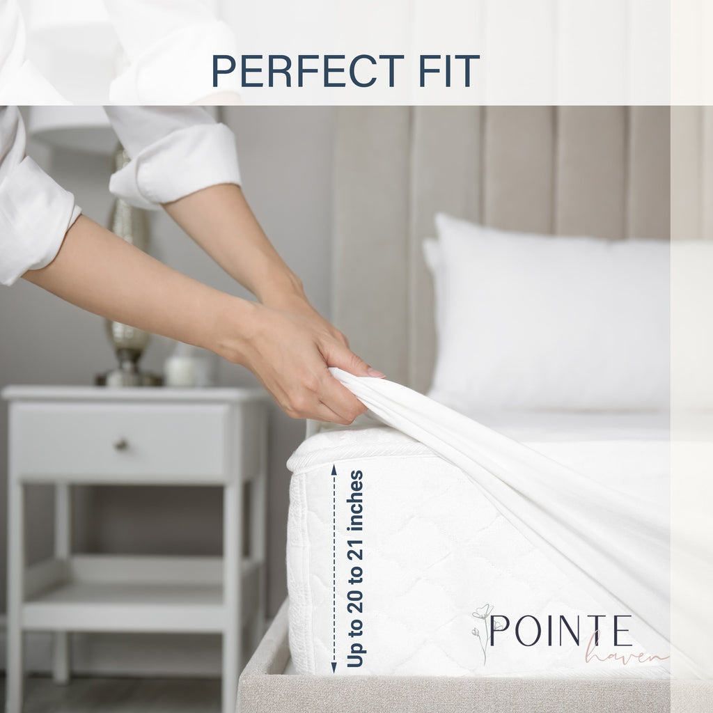 Parure de draps surdimensionnée Pointehaven en coton doux à fibres longues 525 fils