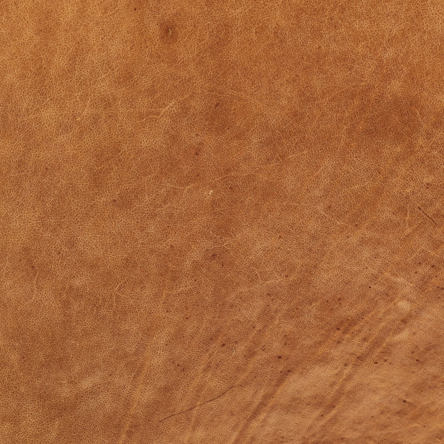 Canapé Canale Poly &amp; Bark - Cuir italien véritable pleine fleur