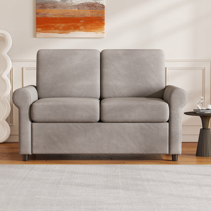 Canapé-lit gigogne 2 en 1 Roomfitters avec surmatelas double haut de gamme, ports USB et design compact pour le salon