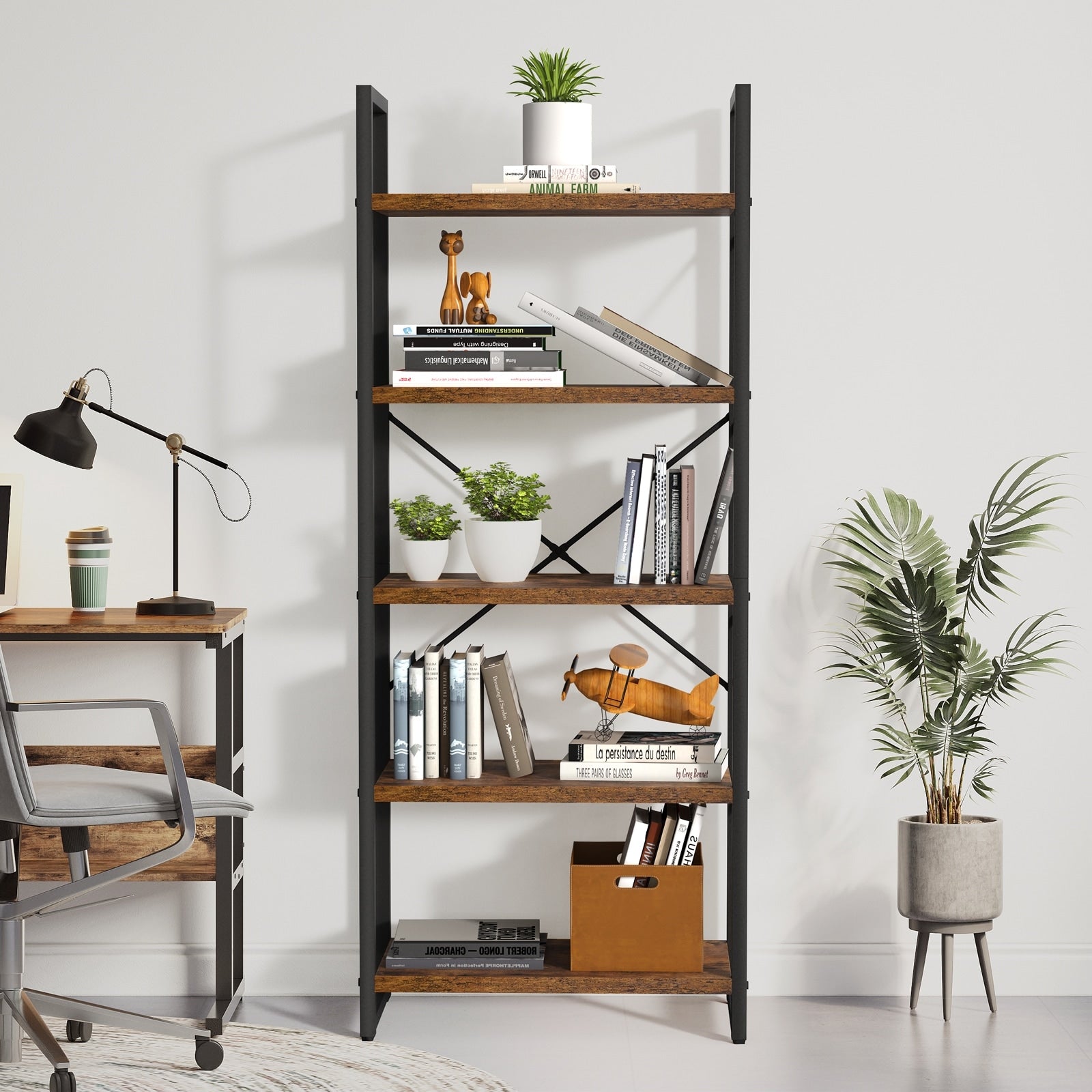 Bibliothèque moderne à 5 niveaux en bois Roul