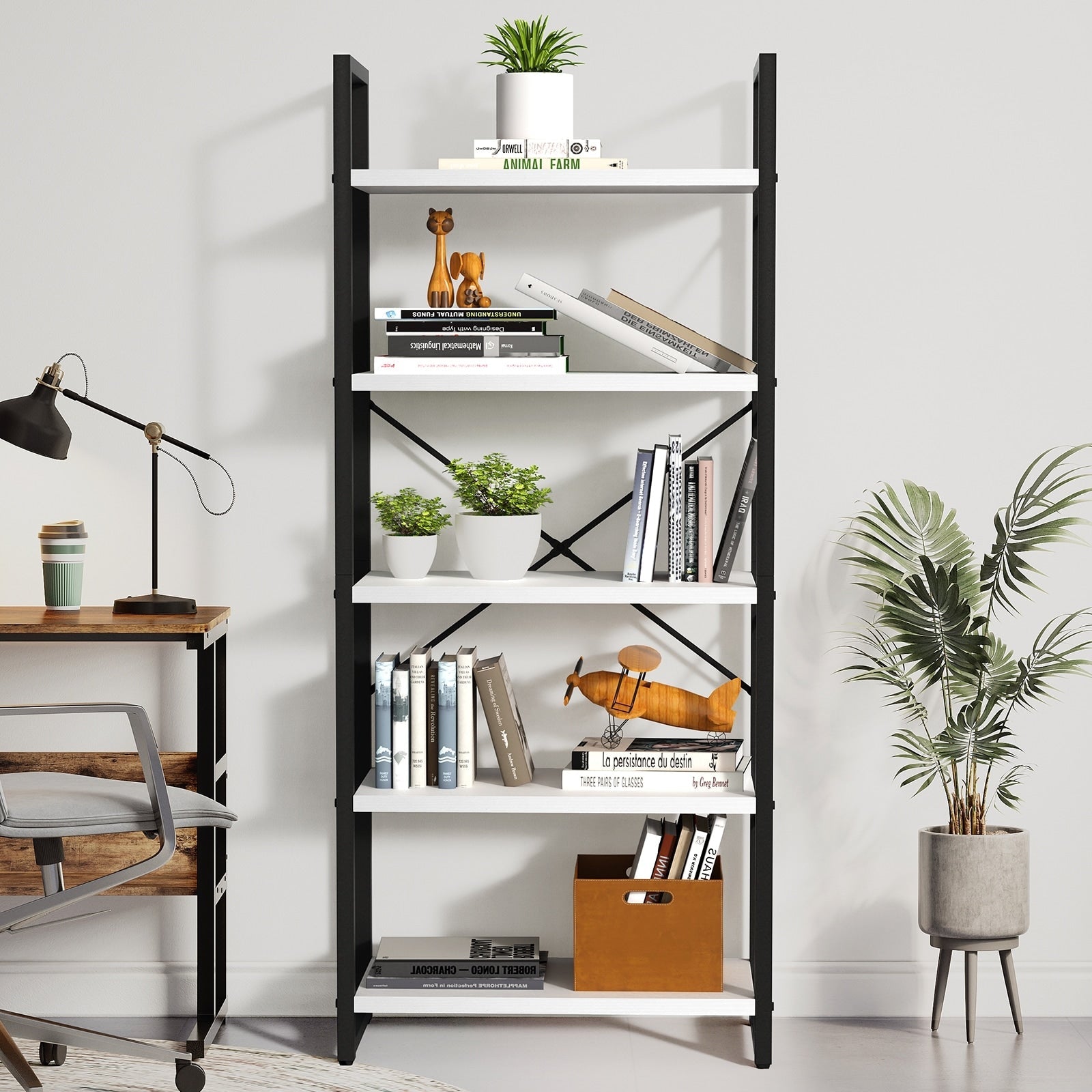 Bibliothèque moderne à 5 niveaux en bois Roul