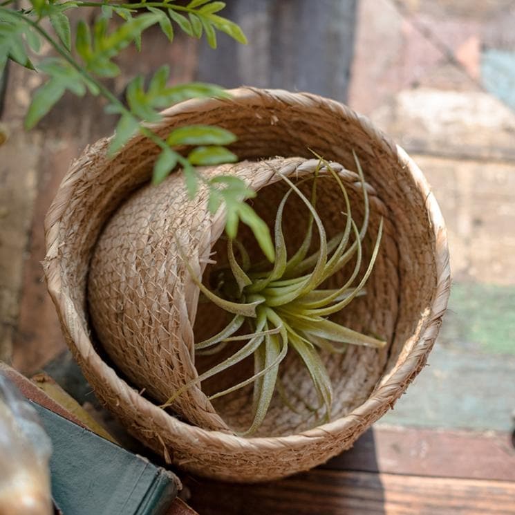 Panier à fleurs de bureau en paille naturelle RusticReach
