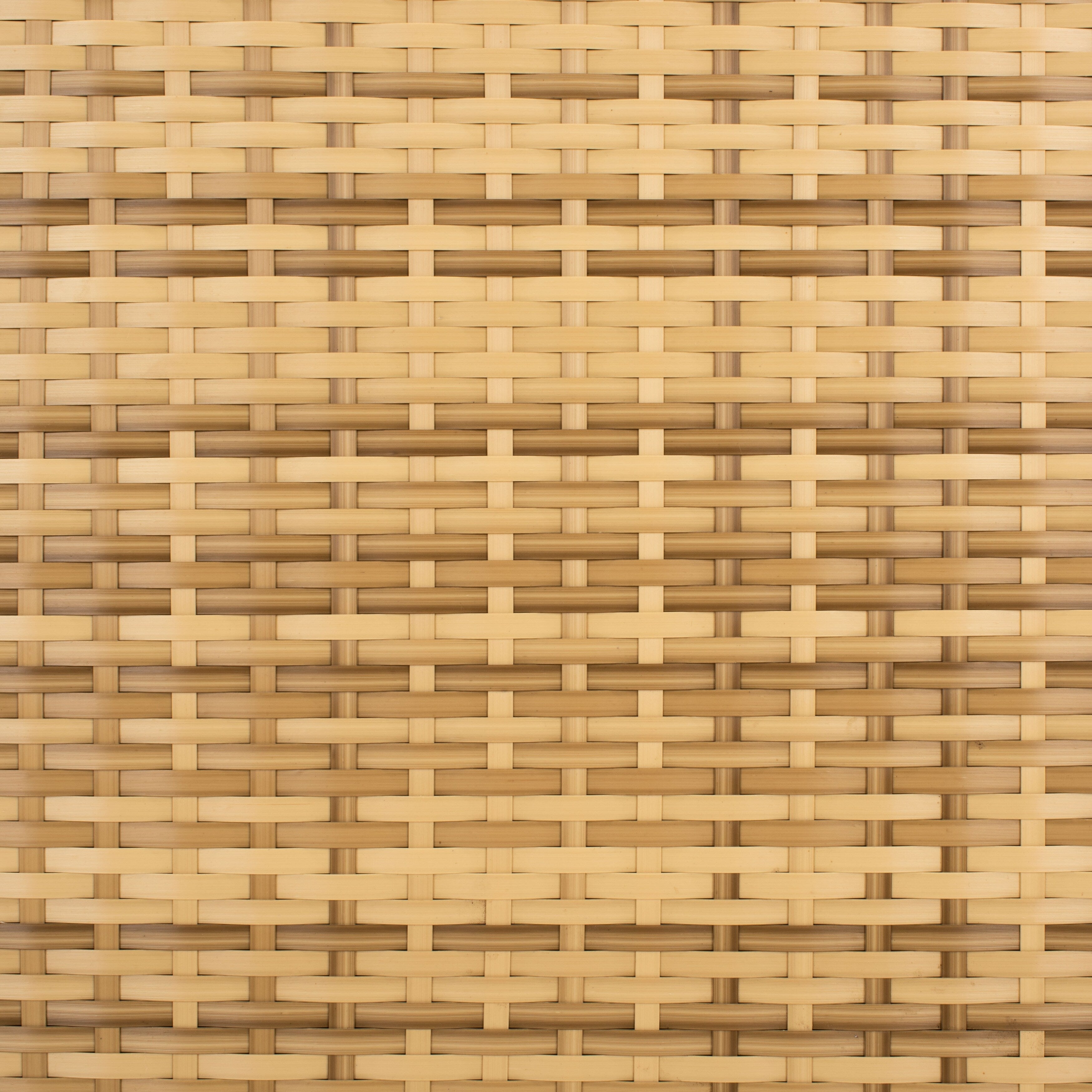 Ensemble de chaises longues d'extérieur Blaguna 3 pièces SAFAVIEH - 83 x 20 x 24 cm