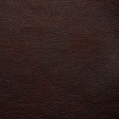 Canapé Serta Palisades 73 à accoudoirs droits, polyester facile d'entretien, dossier moelleux et coussins d'assise à ressorts ensachés