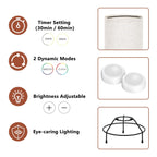 Lot de 2 petites lampes de table avec télécommande