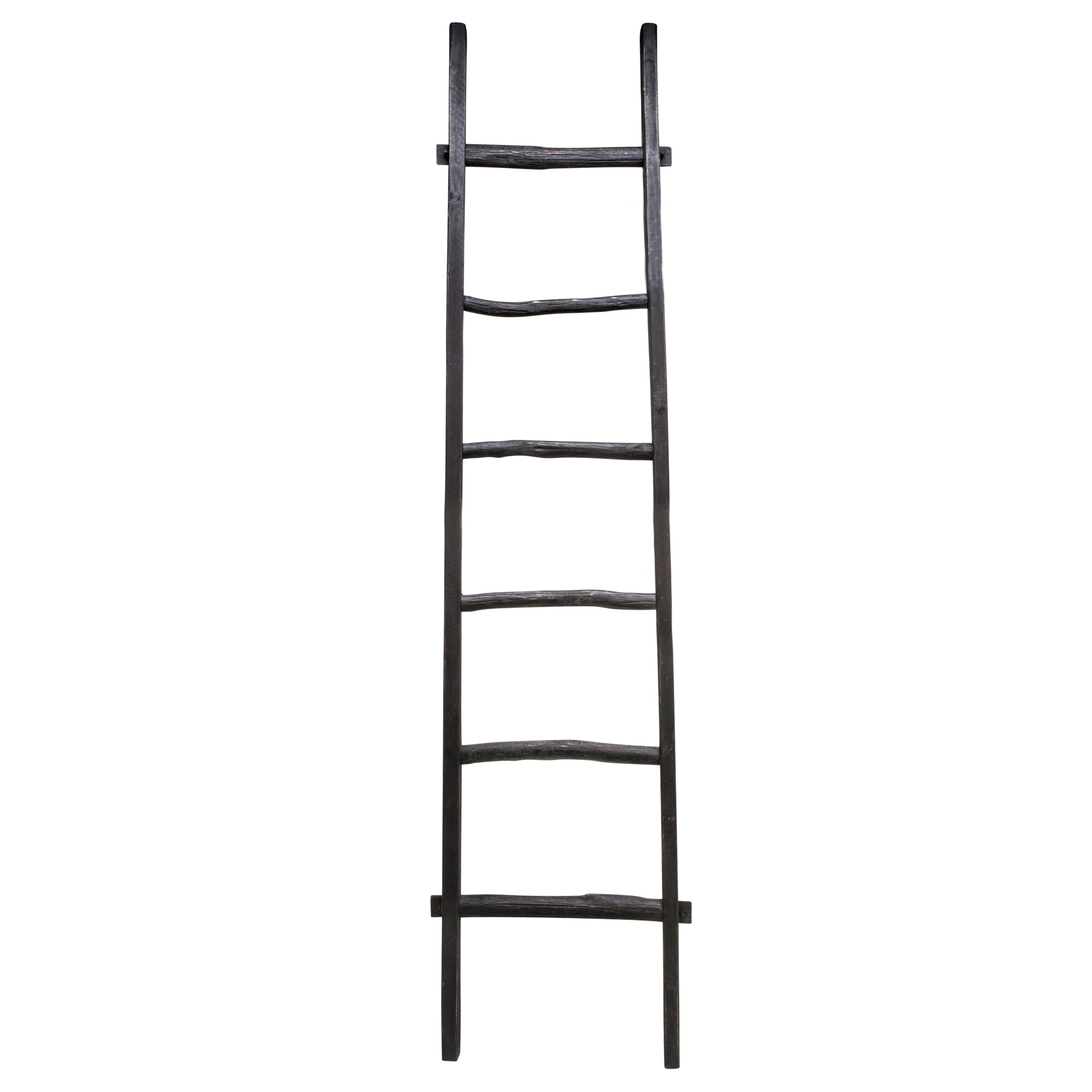 Échelle de rangement rustique Sagebrook Home de 1,8 m de haut, décorative et autoportante – 48 x 5 x 193 cm