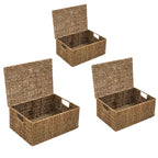 Trademark Innovations Lot de 3 paniers rectangulaires en jonc de mer avec couvercles (petits)