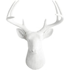 Tête de cerf blanc des charmeurs muraux