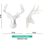 Tête de cerf blanc des charmeurs muraux