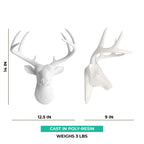 Tête de cerf blanc des charmeurs muraux